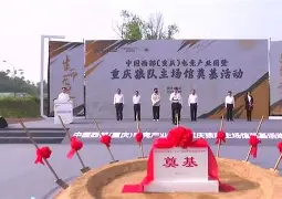 九游平台入口-国王客场逆转狼队,取得惊险胜利是哪一集