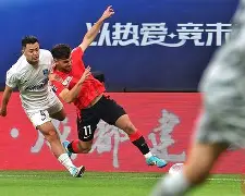 九游娱乐官方网站地址-波鸿vs法兰克福为什么推迟